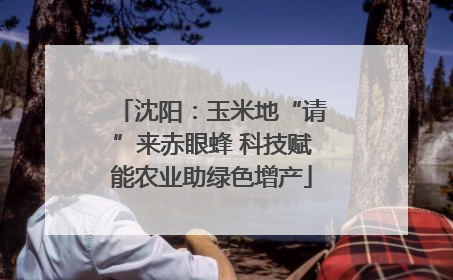 沈阳：玉米地“请”来赤眼蜂 科技赋能农业助绿色增产