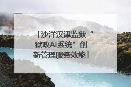 沙洋汉津监狱“狱政AI系统”创新管理服务效能