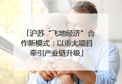 沪苏“飞地经济”合作新模式：以重大项目牵引产业链升级