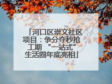 河口区崇文社区项目：争分夺秒抢工期 “一站式”生活圈年底亮相