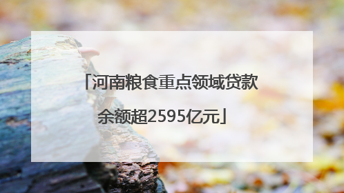 河南粮食重点领域贷款余额超2595亿元