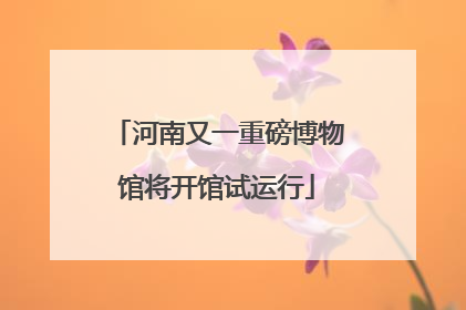 河南又一重磅博物馆将开馆试运行