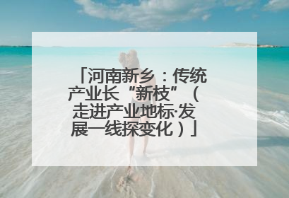 河南新乡：传统产业长“新枝”（走进产业地标·发展一线探变化）