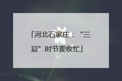 河北石家庄：“三夏”时节麦收忙