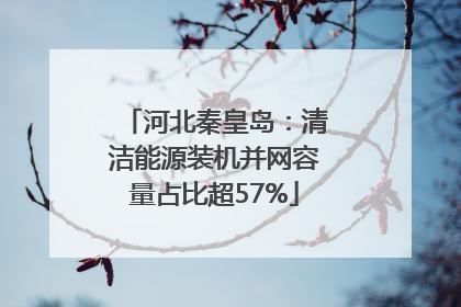 河北秦皇岛：清洁能源装机并网容量占比超57%