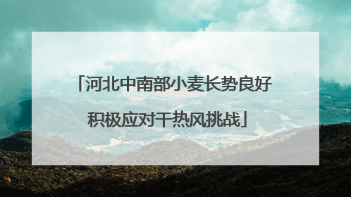河北中南部小麦长势良好 积极应对干热风挑战