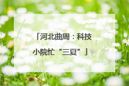 河北曲周：科技小院忙“三夏”