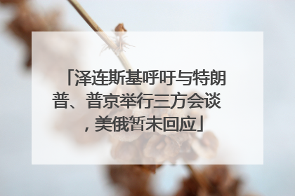 泽连斯基呼吁与特朗普、普京举行三方会谈，美俄暂未回应