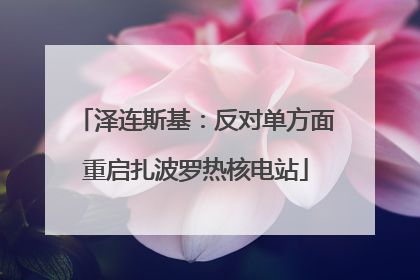 泽连斯基：反对单方面重启扎波罗热核电站