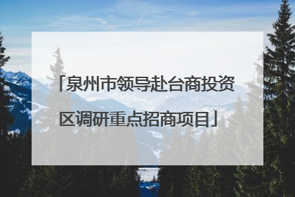泉州市领导赴台商投资区调研重点招商项目