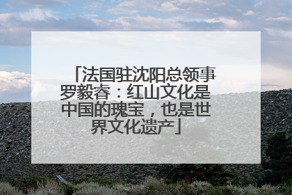 法国驻沈阳总领事罗毅睿：红山文化是中国的瑰宝，也是世界文化遗产