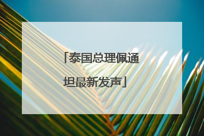 泰国总理佩通坦最新发声
