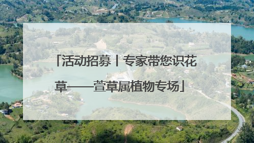 活动招募丨专家带您识花草——萱草属植物专场