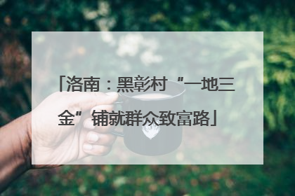 洛南：黑彰村“一地三金”铺就群众致富路