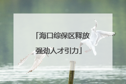 海口综保区释放强劲人才引力