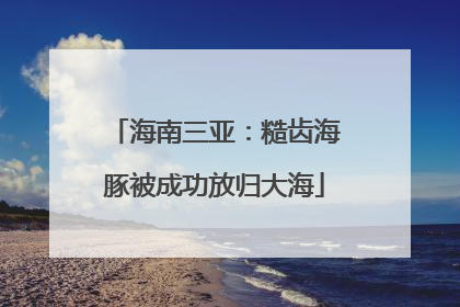 海南三亚：糙齿海豚被成功放归大海