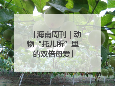 海南周刊｜动物“托儿所”里的双倍母爱