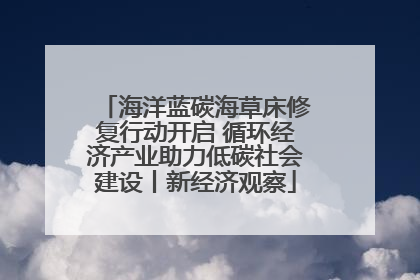 海洋蓝碳海草床修复行动开启 循环经济产业助力低碳社会建设丨新经济观察