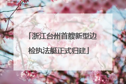 浙江台州首艘新型边检执法艇正式归建