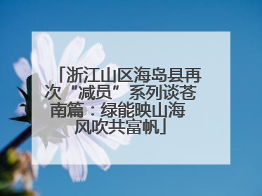 浙江山区海岛县再次“减员”系列谈苍南篇：绿能映山海 风吹共富帆