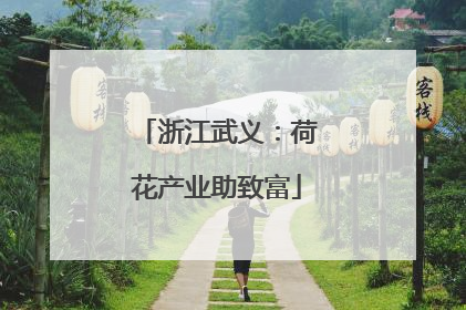 浙江武义：荷花产业助致富