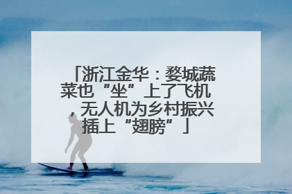浙江金华：婺城蔬菜也“坐”上了飞机，无人机为乡村振兴插上“翅膀”