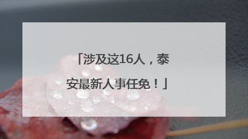 涉及这16人，泰安最新人事任免！