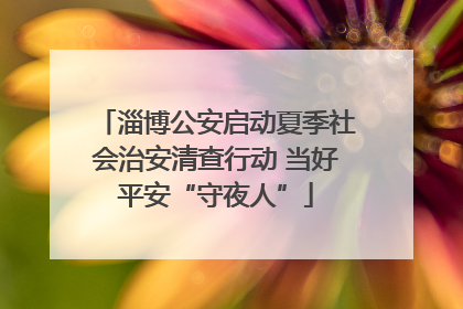 淄博公安启动夏季社会治安清查行动 当好平安“守夜人”