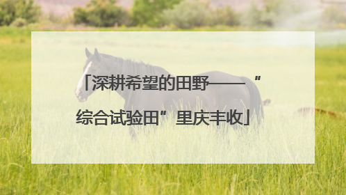 深耕希望的田野——“综合试验田”里庆丰收