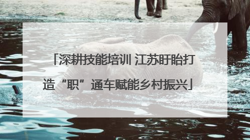 深耕技能培训 江苏盱眙打造“职”通车赋能乡村振兴