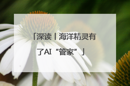 深读丨海洋精灵有了AI“管家”