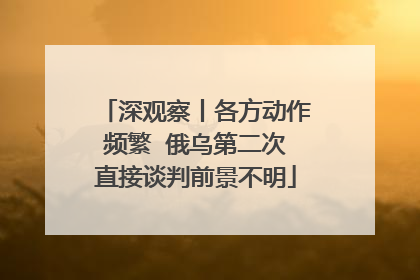 深观察丨各方动作频繁  俄乌第二次直接谈判前景不明