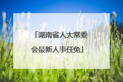 湖南省人大常委会最新人事任免
