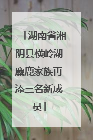 湖南省湘阴县横岭湖麋鹿家族再添三名新成员