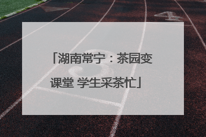 湖南常宁：茶园变课堂 学生采茶忙