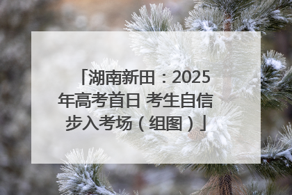 湖南新田：2025年高考首日 考生自信步入考场（组图）