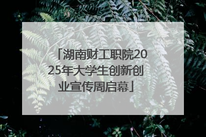 湖南财工职院2025年大学生创新创业宣传周启幕