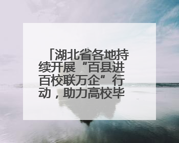 湖北省各地持续开展“百县进百校联万企”行动，助力高校毕业生就业