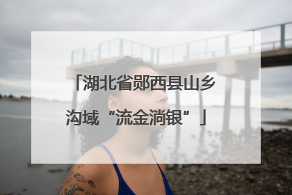 湖北省郧西县山乡沟域“流金淌银”