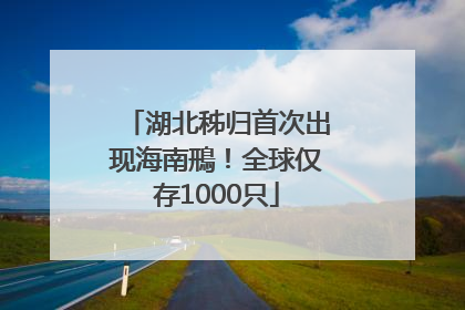 湖北秭归首次出现海南鳽！全球仅存1000只