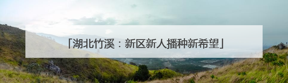 湖北竹溪：新区新人播种新希望