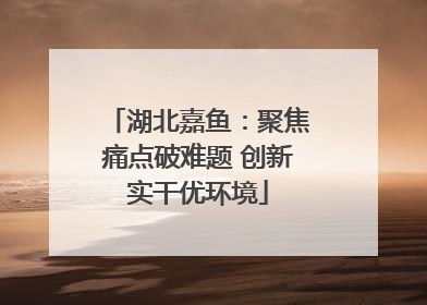 湖北嘉鱼：聚焦痛点破难题 创新实干优环境
