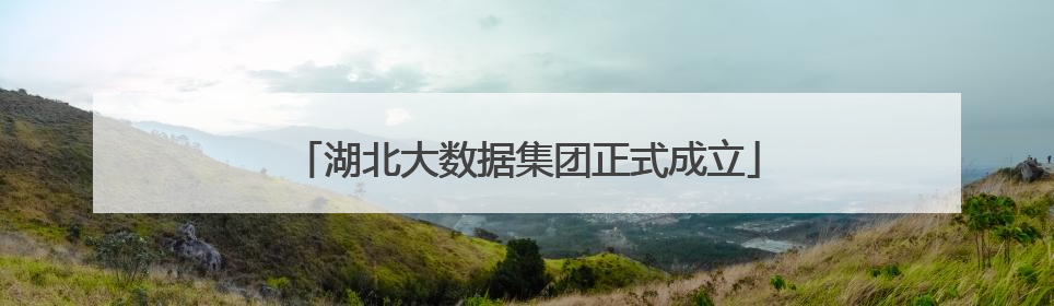 湖北大数据集团正式成立