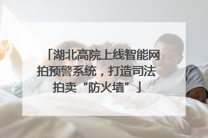 湖北高院上线智能网拍预警系统，打造司法拍卖“防火墙”