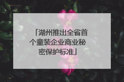 湖州推出全省首个童装企业商业秘密保护标准