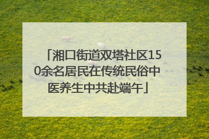 湘口街道双塔社区150余名居民在传统民俗中医养生中共赴端午