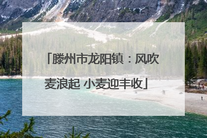 滕州市龙阳镇：风吹麦浪起 小麦迎丰收