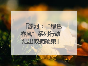 漯河：“绿色春风”系列行动结出双拥硕果