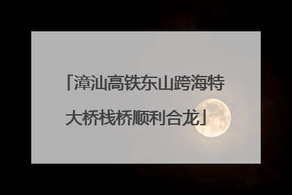 漳汕高铁东山跨海特大桥栈桥顺利合龙