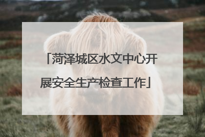 菏泽城区水文中心开展安全生产检查工作